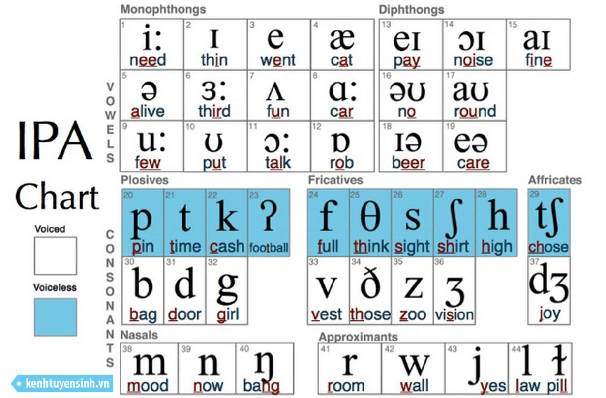 Знак фонетической транскрипции