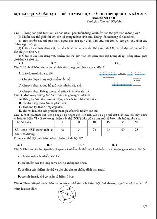 Đáp án đề thi minh họa tốt nghiệp THPT quốc gia môn Sinh học năm 2015 Đáp án đề thi minh họa tốt nghiệp THPT quốc gia môn Sinh học năm 2015