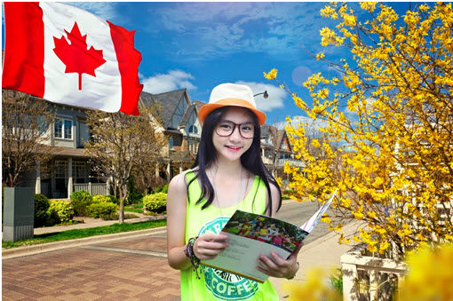 Làm sao để được làm việc và định cư tại Canada  