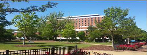 Gặp mặt xét tuyển trực tiếp với đại diện 6 trường Đại học công lập danh tiếng nước Mỹ