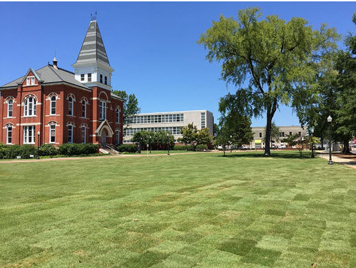 Gặp mặt xét tuyển trực tiếp với đại diện 6 trường Đại học công lập danh tiếng nước Mỹ