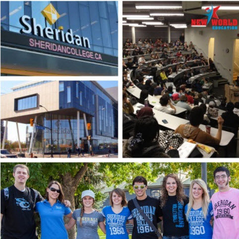 Hội thảo du học Canada - Visa ưu tiên cùng chính sách định cư 2016Hội thảo du học Canada - Visa ưu tiên cùng chính sách định cư 2016