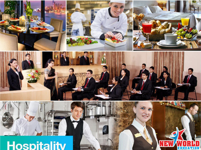 Du học Singapore chương trình Thực tập hưởng lương và học bổng 2016