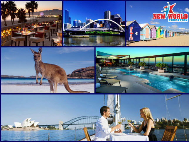 Du học Úc ngành Hot thực tập hưởng lương và học bổng 2016