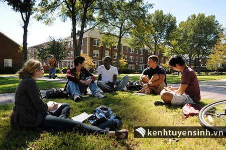 Du học Mỹ: Làm sao để ở lại Mỹ làm việc sau khi tốt nghiệp?