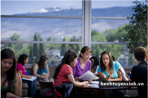 Du học sinh Mỹ cần lưu ý gì khi lựa chọn môn học?