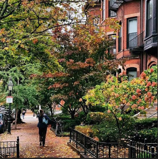 Học bổng 50% học phí trường CATS Academy Boston, Mỹ