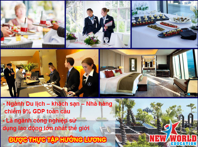 Hội thảo du học Úc 2016: Chọn ngành được thực tập hưởng lương và học bổng 25.000AUD