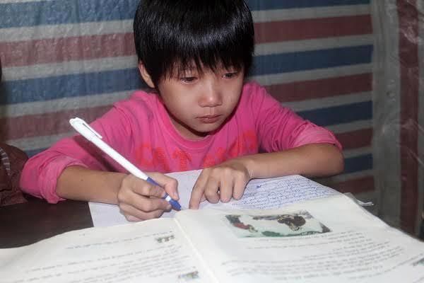 "Kết luận sai, không có giá trị pháp lý"