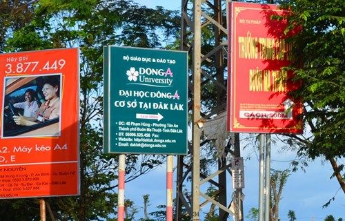 Báo động loạn đào tạo Y dược