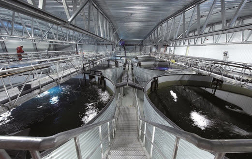 Quản trị doanh nghiệp thủy sản, việc lạ lương cao Quản trị doanh nghiệp thủy sản, việc lạ lương cao