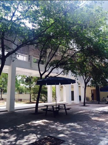Tuần lễ tư vấn ưu đãi ĐH James Cook Singapore Tuần lễ tư vấn ưu đãi ĐH James Cook Singapore