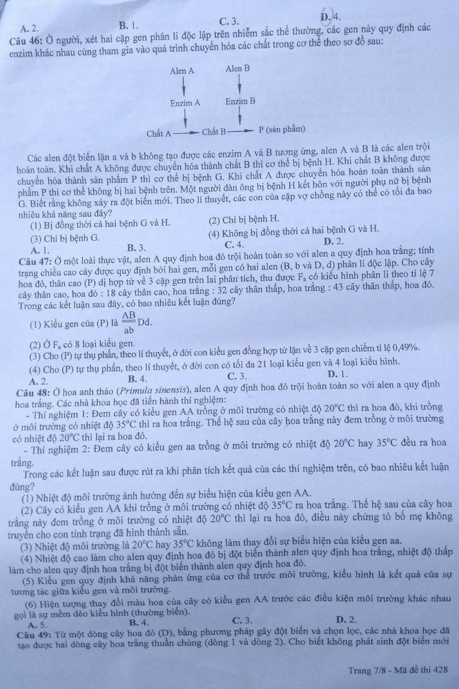 Đề thi THPT quốc gia 2016 môn Sinh họa (mã đề 428)