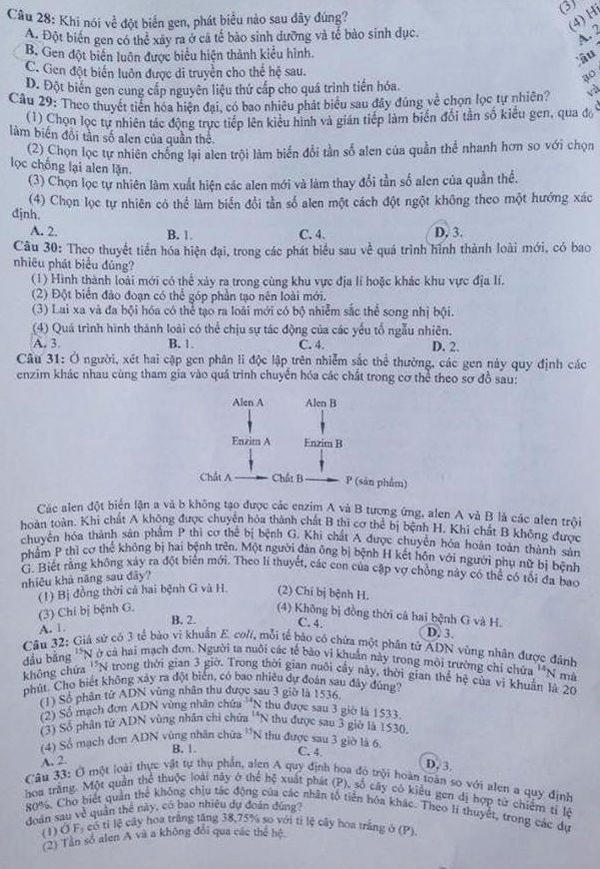 Đề thi THPT quốc gia 2016 môn Sinh họa (mã đề 592)