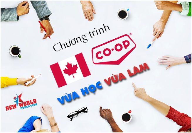 Chương trình thực tập Co-op Canada hút du học sinh quốc tế cùng visa ưu tiên 2017