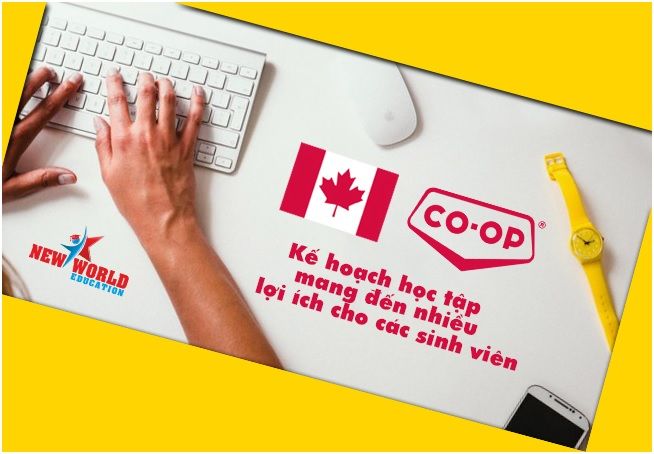 Chương trình thực tập Co-op Canada hút du học sinh quốc tế cùng visa ưu tiên 2017
