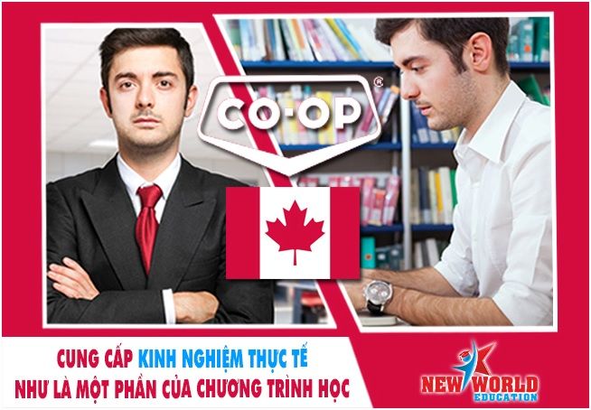 Chương trình thực tập Co-op Canada hút du học sinh quốc tế cùng visa ưu tiên 2017