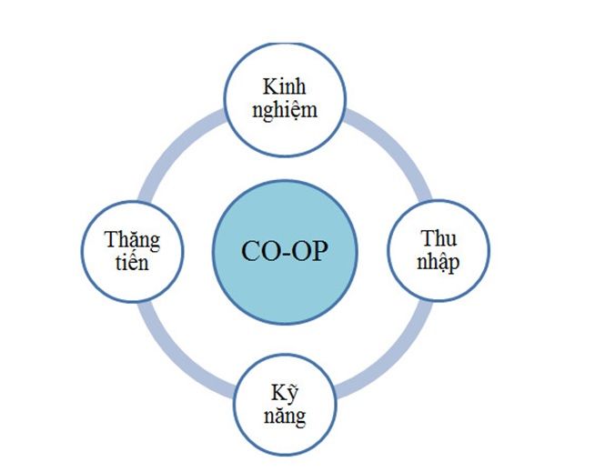 Chương trình thực tập hưởng lương Internship và Co-op Mỹ