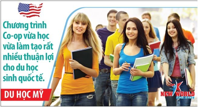 Chương trình thực tập hưởng lương Internship và Co-op Mỹ