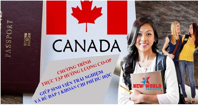Hội thảo du học Canada khối ngành STEM và chương trình thực tập hưởng lương Co-op 2016 Hội thảo du học Canada khối ngành STEM và chương trình thực tập hưởng lương Co-op 2016