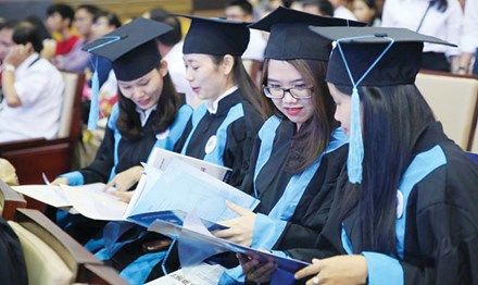 Tiến sĩ chỉ làm mấy thứ lặt vặt như thạc sĩ