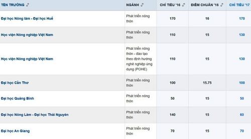 5 ngành học có cơ hội trúng tuyển cao