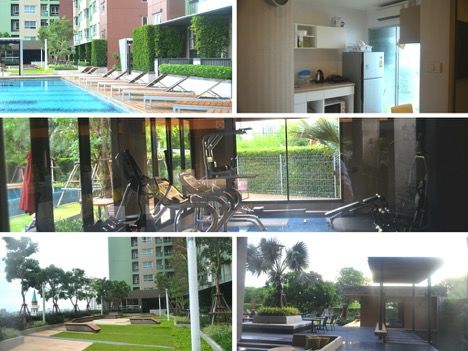 Giấc mơ du học Mỹ, Châu Âu từ đại học STAMFORD - Bangkok Giấc mơ du học Mỹ, Châu Âu từ đại học STAMFORD - Bangkok