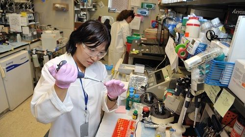 Học bổng tiến sỹ Đại học Waikato và Học viện Nghiên cứu sức khoẻ ở New Zealand - Ảnh 2