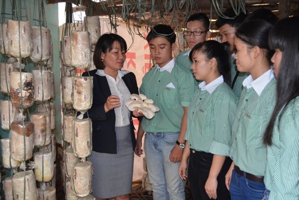 Đại học Đông Á tuyển sinh