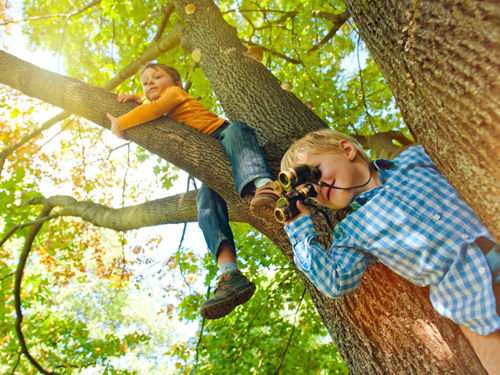 10 bí quyết dạy con mạnh mẽ hơn - Ảnh 2