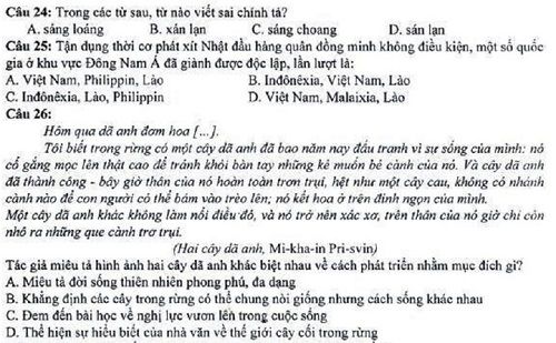 Đề thi môn năng khiếu báo chí 