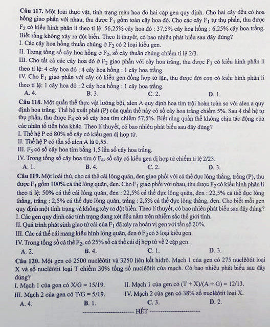 đề thi sinh 2017 đề thi sinh 2017