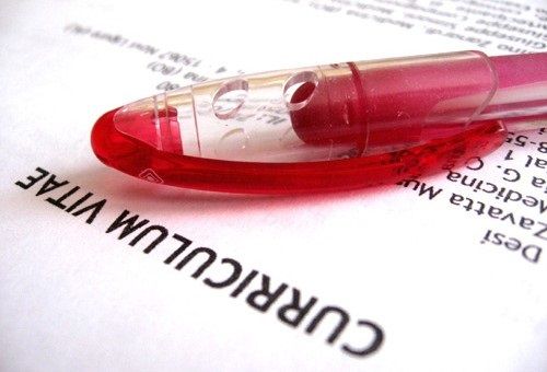 Những động từ thường dùng trong cv