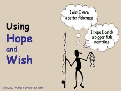 phân biệt i wish và i hope