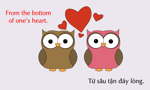 thành ngữ với từ heart