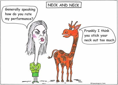 thành ngữ với từ neck