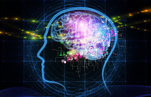 Trí thông minh của bạn thuộc loại nào? - Ảnh 1