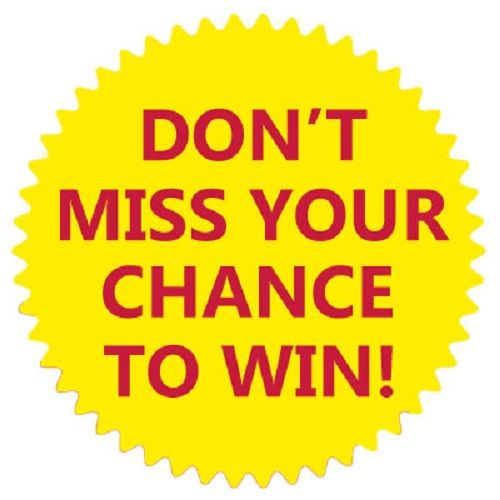 từ  vựng với từ win