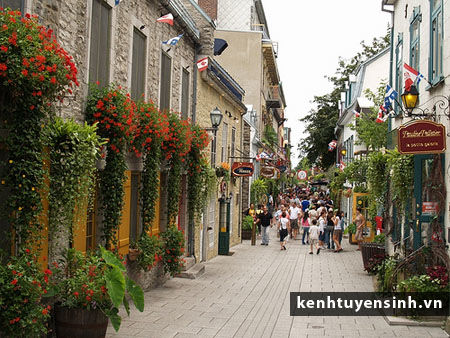 du hoc canada, thoi gian nhap hoc, giao duc, đai hoc, cao đang  du hoc canada, thoi gian nhap hoc, giao duc, đai hoc, cao đang