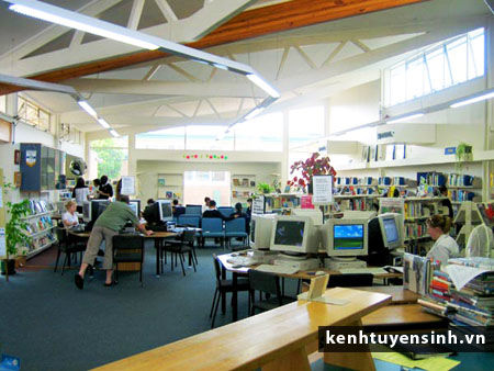 pakuranga college, du hoc new zealand, hoc bong du hoc new zealand, thong tin du hoc new zealand, dieu kien du hoc new zealand