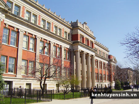 Chicago School District, truong trung hoc quoc te, trung hoc than thien quoc te