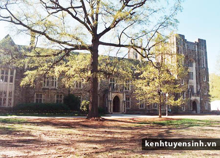 duke university, truong dai hoc quoc te, thu tuc du hoc my, truong dai hoc kinh te, thong tin du hoc my, dieu kien du hoc my, kinh nghiem du hoc my, hoc bong du hoc my