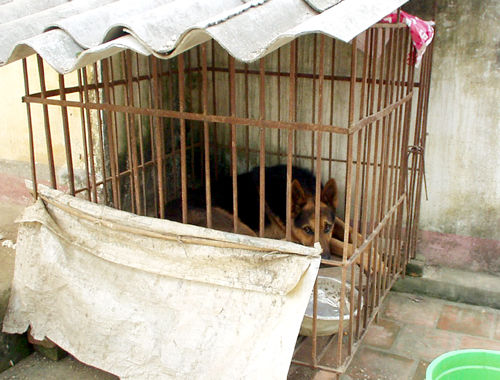 thue_cho_bao_ve_truong thue_cho_bao_ve_truong