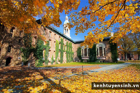 Princeton university Princeton university, hoc bong du hoc my, thong tin du hoc my, tuyen sinh du hoc my, thu tuc du hoc my, kinh nghiem du hoc my, dai hoc quoc te