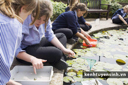 Sidcot school Winscombe, trung hoc quoc te, pho thong quoc te, hoc sinh truong quoc te