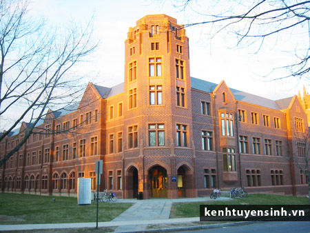 du hoc, du hoc cac nuoc, du hoc my, du hoc a - au