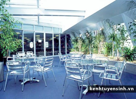 crown institute of studies, du hoc new zealand