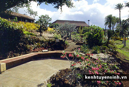 truong cao dang quoc te Kapi'olani Community College, cao dang quoc te my, du hoc my, kinh nghiem du hoc my, thong tin du hoc my, dai hoc kinh te