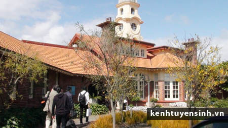 Cao dang quoc te Manukau Institute, dai hoc kinh te quoc te, du hoc sinh, hoc dai hoc, truong hoc than thien, du hoc new zealand