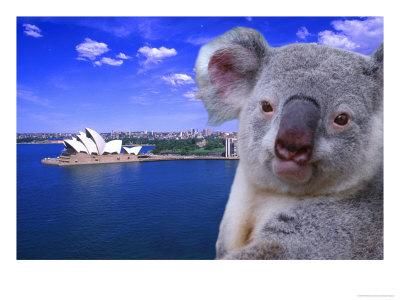 du hoc uc, thong tin du hoc, du hoc sinh, chi phi di hoc, moi truong 